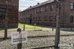 Campo di concertamento di Auschwitz