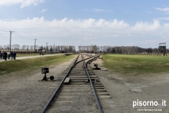 Campo di sterminio di Auschwitz Birkenau