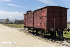 Campo di sterminio di Auschwitz Birkenau