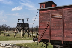 Campo di sterminio di Auschwitz Birkenau