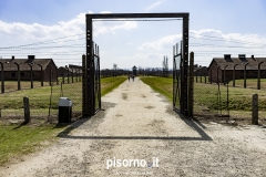Campo di sterminio di Auschwitz Birkenau