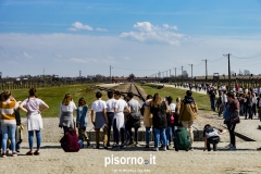 Campo di sterminio di Auschwitz Birkenau