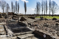 Campo di sterminio di Auschwitz Birkenau