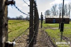 Campo di sterminio di Auschwitz Birkenau