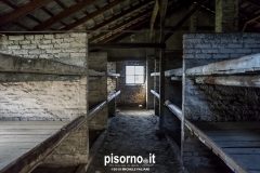 Campo di sterminio di Auschwitz Birkenau