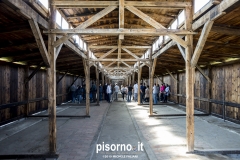 Campo di sterminio di Auschwitz Birkenau