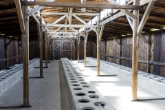 Campo di sterminio di Auschwitz Birkenau