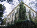 DSC06634