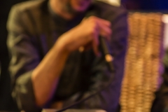 Piccoli Animali Senza Espressione - Conferenza stampa @ Ex Cinema Aurora