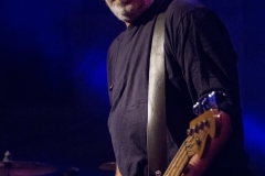 Post C.S.I. live @ Villa Guerrazzi (Cecina, 24 Giugno 2015)