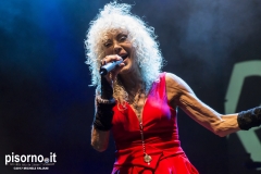 Rettore live @ Effetto Venezia, 27/7/2017