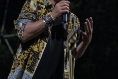 Roby Facchinetti live @ Castiglioncello Festival, 14 Agosto 2020
