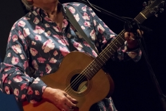 Robyn Hitchcock @ Sala Estense, Ferrara, Oct. 14th 2017