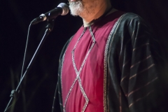 Vinicio Capossela live @ Bolgheri Festival, 5 Agosto 2016