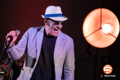 Francesco Baccini con Mauro Ottolini e Orchestra Ottovolante live @ Grey Cat Festival, Castelnuovo Val di Cecina, 7 Agosto 2025