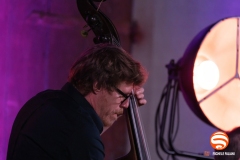 Francesco Baccini con Mauro Ottolini e Orchestra Ottovolante live @ Grey Cat Festival, Castelnuovo Val di Cecina, 7 Agosto 2025