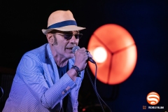 Francesco Baccini con Mauro Ottolini e Orchestra Ottovolante live @ Grey Cat Festival, Castelnuovo Val di Cecina, 7 Agosto 2025