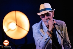 Francesco Baccini con Mauro Ottolini e Orchestra Ottovolante live @ Grey Cat Festival, Castelnuovo Val di Cecina, 7 Agosto 2025