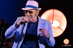 Francesco Baccini con Mauro Ottolini e Orchestra Ottovolante live @ Grey Cat Festival, Castelnuovo Val di Cecina, 7 Agosto 2025