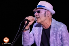 Francesco Baccini con Mauro Ottolini e Orchestra Ottovolante live @ Grey Cat Festival, Castelnuovo Val di Cecina, 7 Agosto 2025